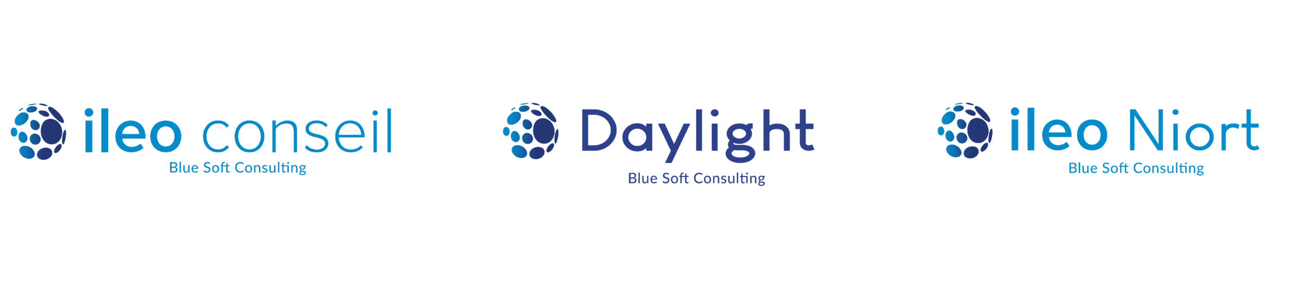 Blue Soft Consulting logos