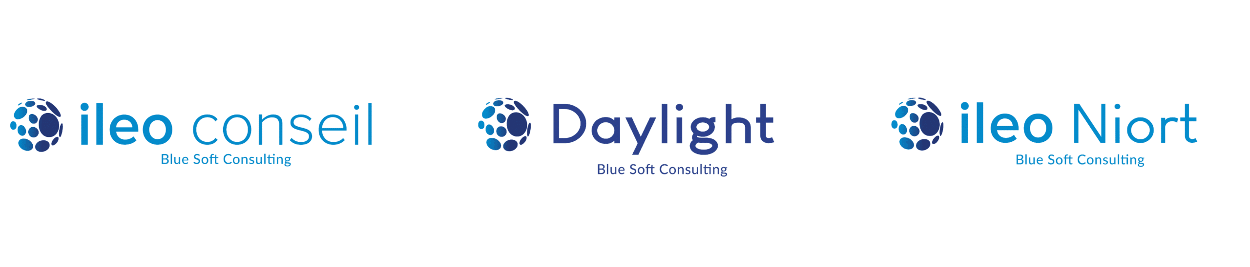 Logo BSC Blue Soft Consulting logo's