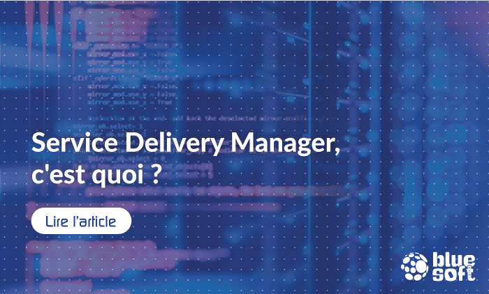 what-is-a-service-delivery-manager