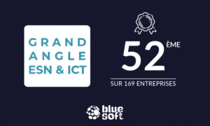 Ranking Blue Soft Group ESN and ICT angle