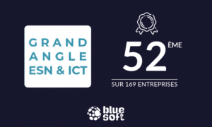 Classement Blue Soft Group Grand angle ESN et ICT