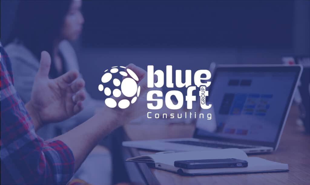 Notre entité spécialiste du conseil, Blue Soft Consulting