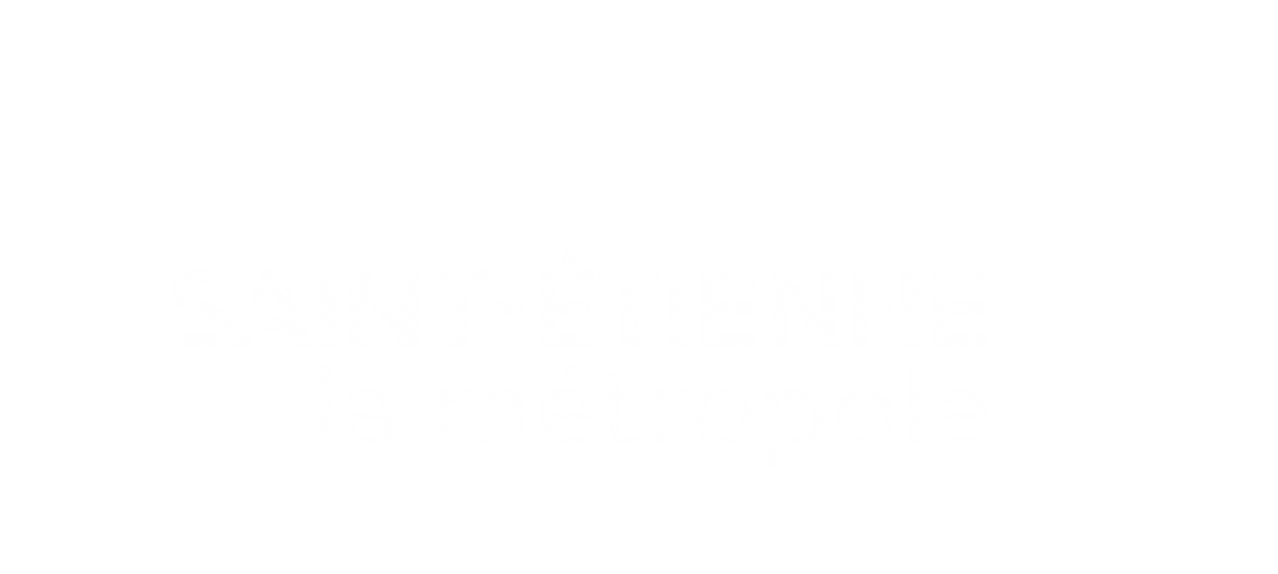 Saint etienne Metropole_blanc