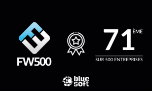 Classement Blue Soft Group - entreprises clés de l’écosystème tech français 2021